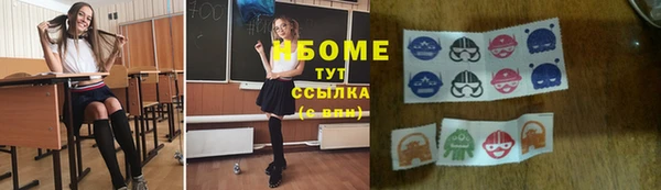 мдпв Богородск