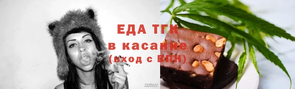 дмт Бородино