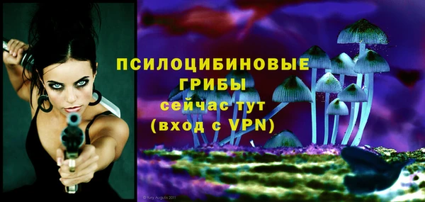 хмурый Богородицк