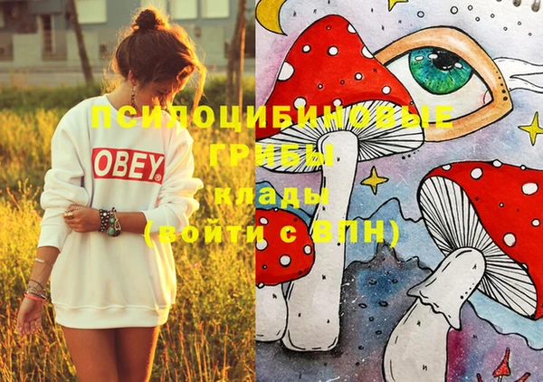 прущие крисы Бугульма