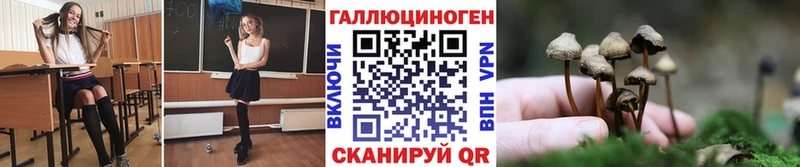 Купить  Скопин  Псилоцибиновые грибы Cubensis 